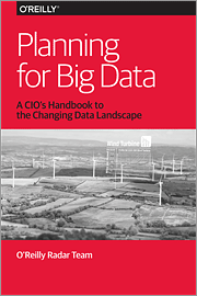 Planning for Big Data: A CIO's Handbook to the Changing Data Landscape
